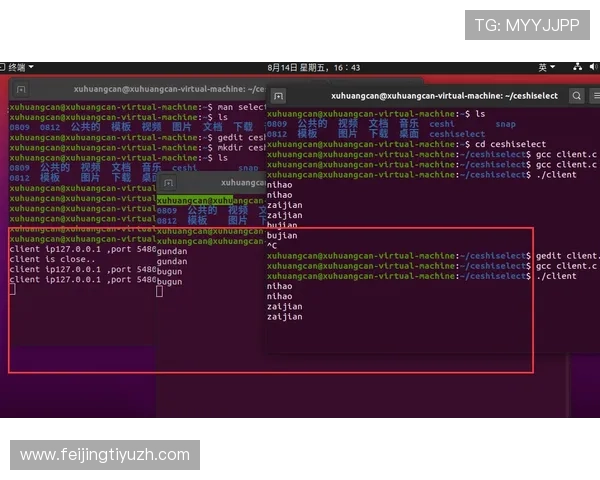 ebet真人厅注册流程详解，轻松快速加入享受高品质真人游戏体验