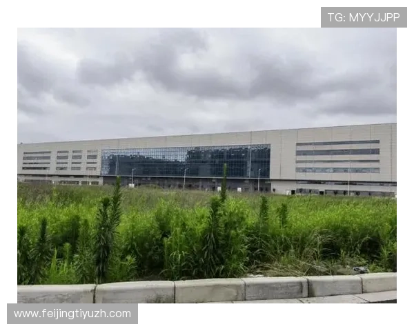 欧博平台官网首页网址官方入口最新版本，快速找到欧博官网首页的官方网址入口