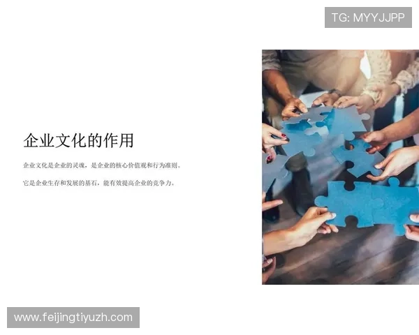全面介绍yh娱乐公司企业文化与核心价值观促进合作伙伴与玩家的深入了解